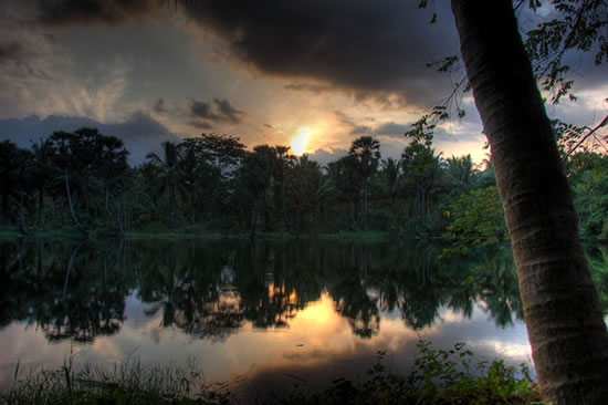 HDR at the farm, Nagercoil